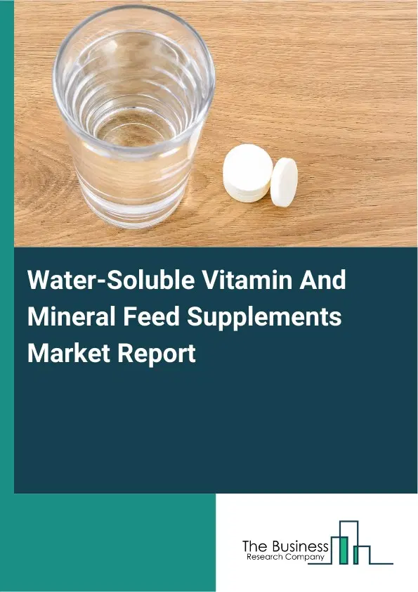 Global Water-Soluble Vitamin And Mineral Feed Supplements Market Report 2026 Global Water-Soluble Vitamin And Mineral Feed Supplements Market Report 2026
