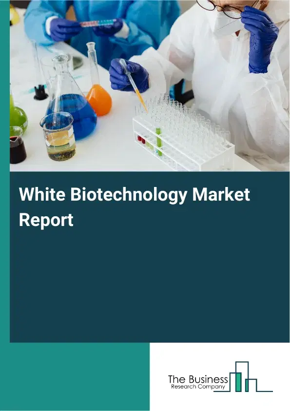 Global White Biotechnology Market Report 2026 Global White Biotechnology Market Report 2026