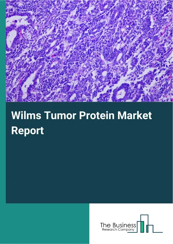 Global Wilms Tumor Protein Market Report 2026 Global Wilms Tumor Protein Market Report 2026