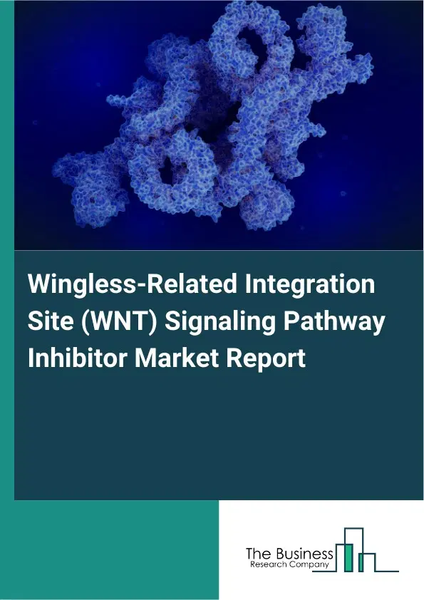 Global Wingless-Related Integration Site (WNT) Signaling Pathway Inhibitor Market Report 2026 Global Wingless-Related Integration Site (WNT) Signaling Pathway Inhibitor Market Report 2026