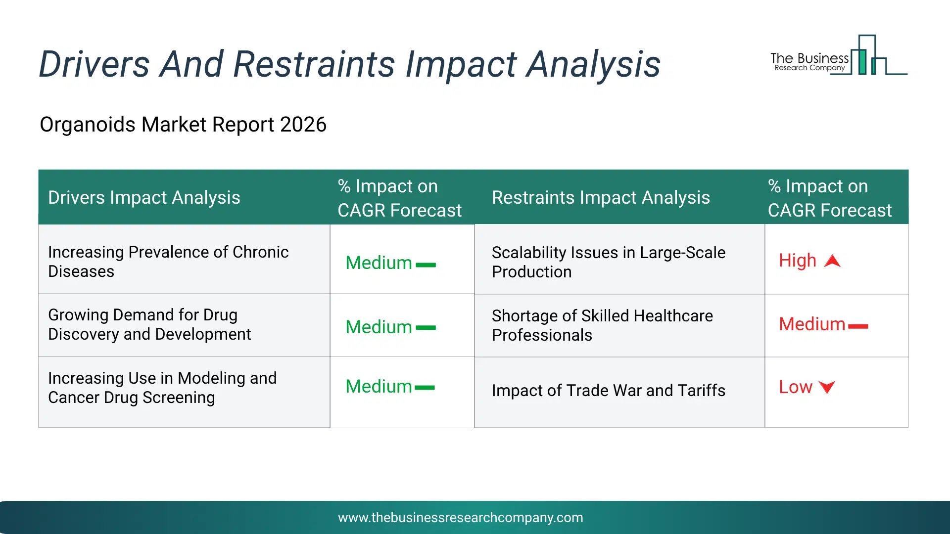 Organoids Key Drivers & Restraints Analysis 2026 Infographic Chart Showing Key Market Drivers Analysis And Restraints For Organoids Market