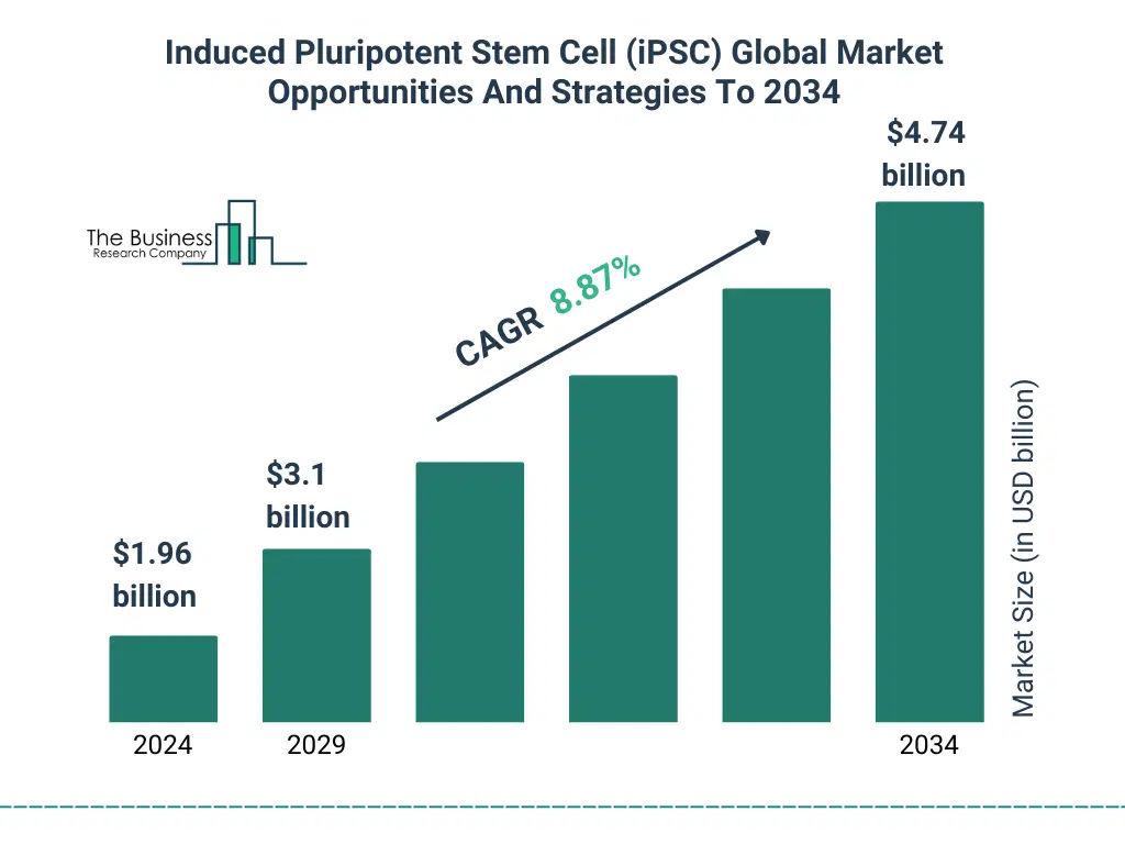 Induced Pluripotent Stem Cell (iPSC) Global Market Opportunities And Strategies To 2034 Market Size and growth rate 2025 to 2029: Graph Induced_Pluripotent_Stem_Cell_iPSC_Global_Market_Opportunities_And_Strategies_To_2034_Market_2025_Graph