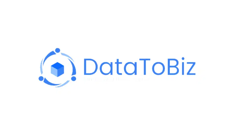 DataToBiz Corporate Logo
