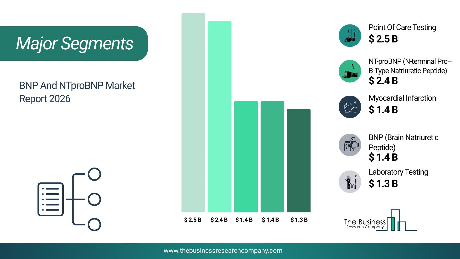 Bnp And Ntprobnp Market Major Segmentation Breakdown2026 Major Segmentation Breakdown Chart Of The Bnp And Ntprobnp Market.