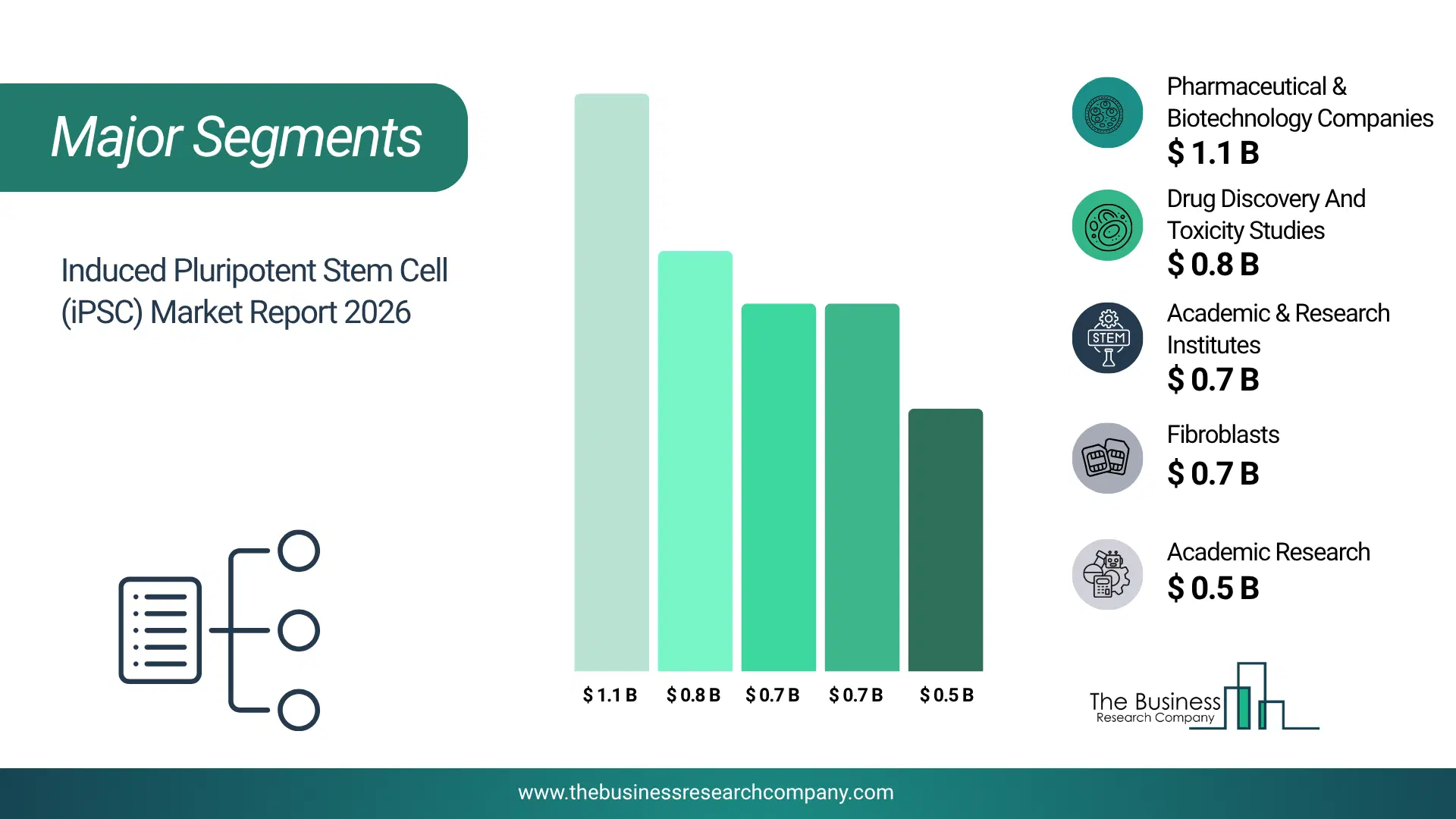 Induced Pluripotent Stem Cell (Ipsc) Market Major Segmentation Breakdown2026 Major Segmentation Breakdown Chart Of The Induced Pluripotent Stem Cell (Ipsc) Market.