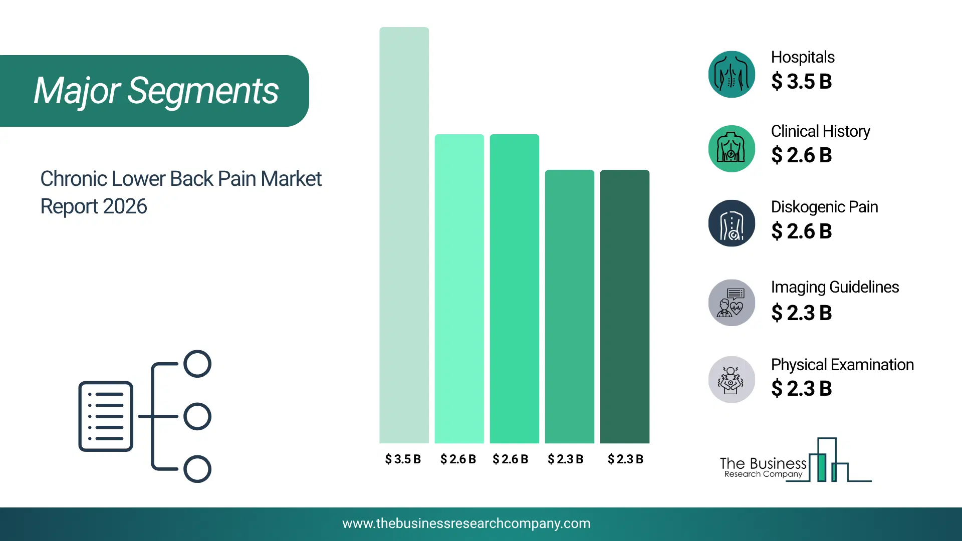 Chronic Lower Back Pain Market Major Segmentation Breakdown2026 Major Segmentation Breakdown Chart Of The Chronic Lower Back Pain Market.