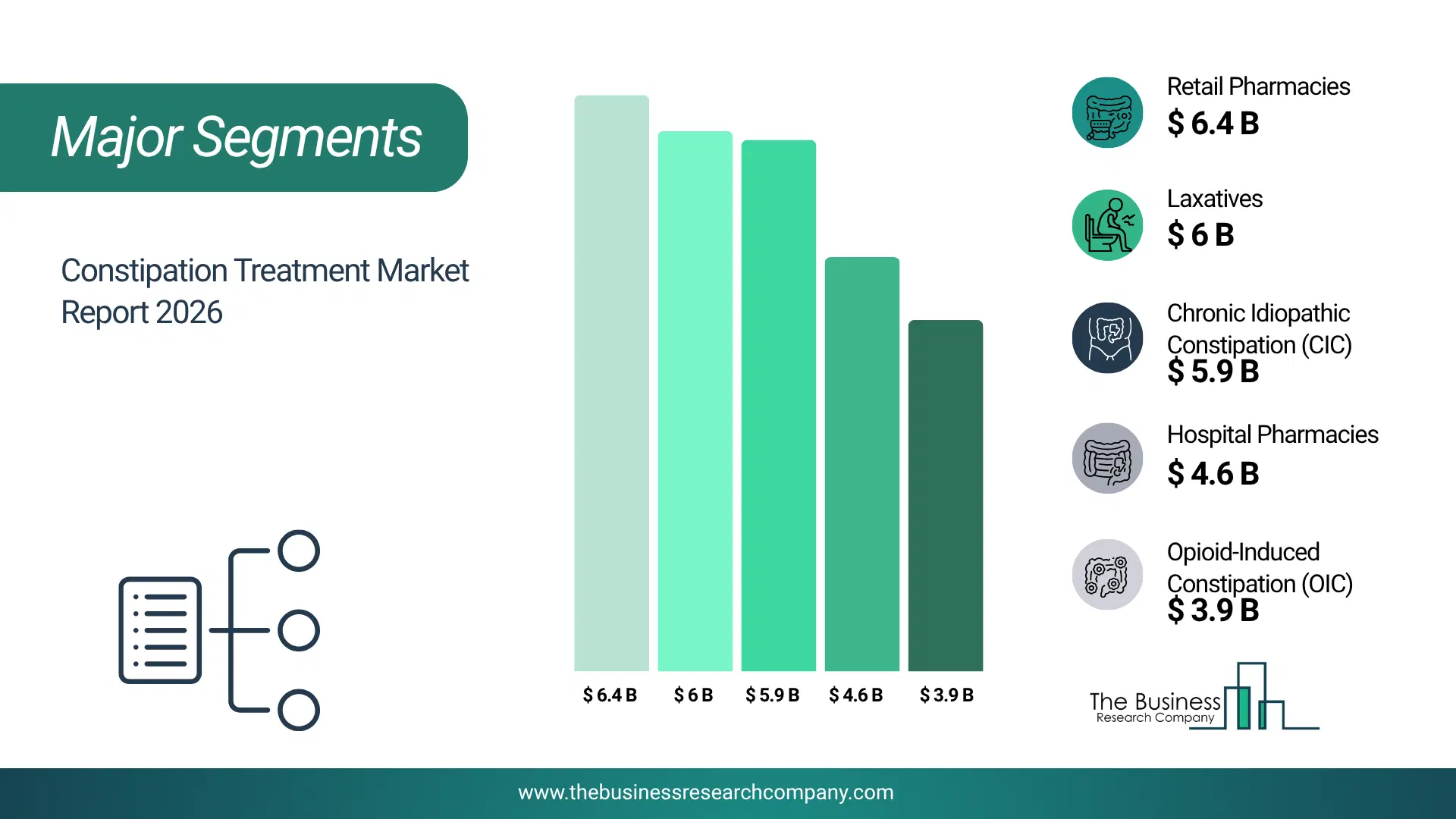 Constipation Treatment Market Major Segmentation Breakdown2026 Major Segmentation Breakdown Chart Of The Constipation Treatment Market.