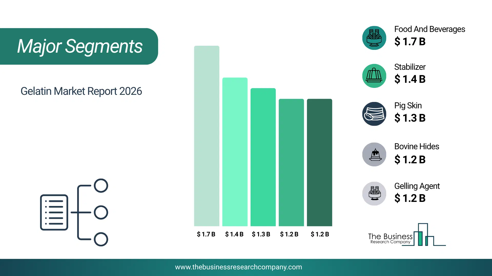 Gelatin Market Major Segmentation Breakdown2026 Major Segmentation Breakdown Chart Of The Gelatin Market.