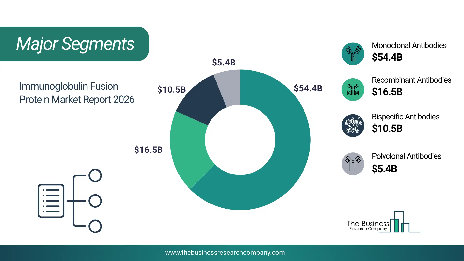 Immunoglobulin Fusion Protein Market Major Segmentation Breakdown2026 Major Segmentation Breakdown Chart Of The Immunoglobulin Fusion Protein Market.