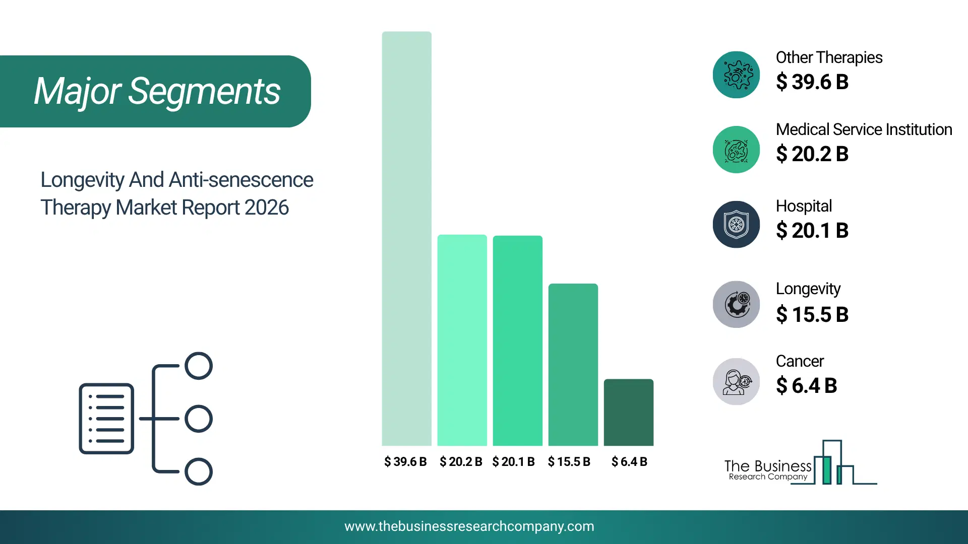 Longevity And Anti-Senescence Therapy Market Major Segmentation Breakdown2026 Major Segmentation Breakdown Chart Of The Longevity And Anti-Senescence Therapy Market.