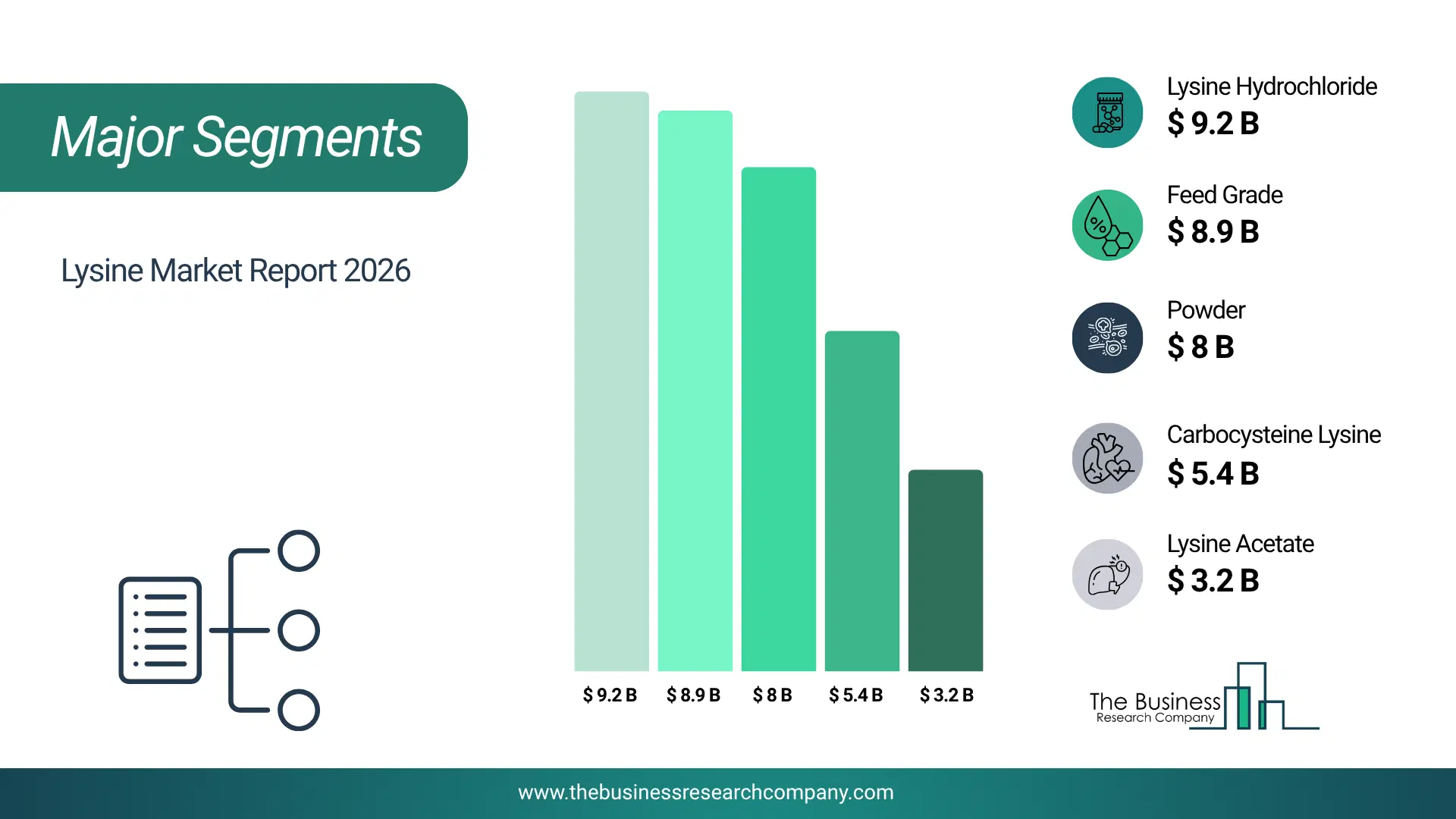 Lysine Market Major Segmentation Breakdown2026 Major Segmentation Breakdown Chart Of The Lysine Market.