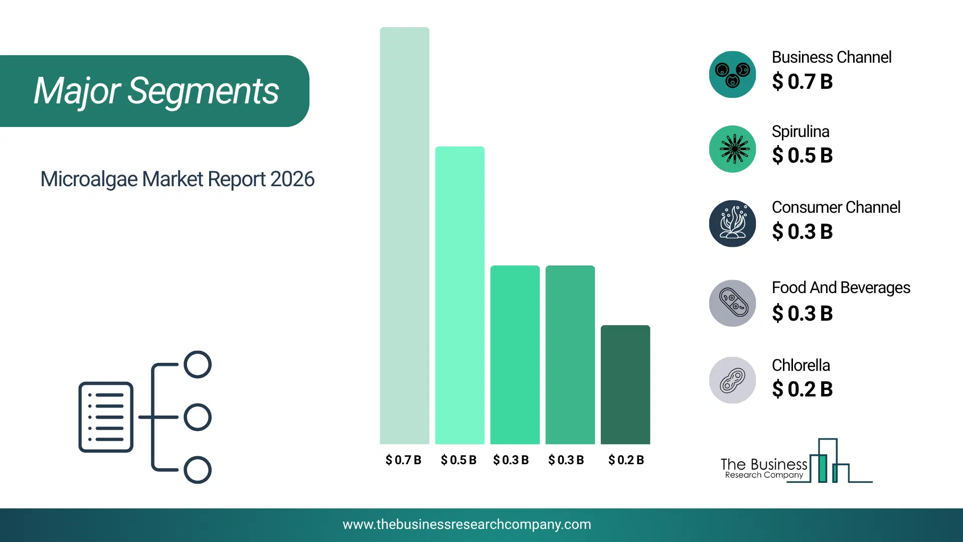 Microalgae Market Major Segmentation Breakdown2026 Major Segmentation Breakdown Chart Of The Microalgae Market.