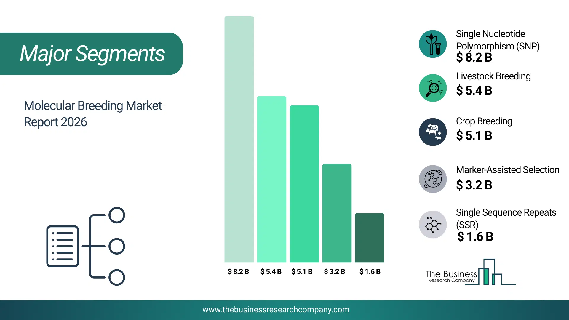 Molecular Breeding Market Major Segmentation Breakdown2026 Major Segmentation Breakdown Chart Of The Molecular Breeding Market.