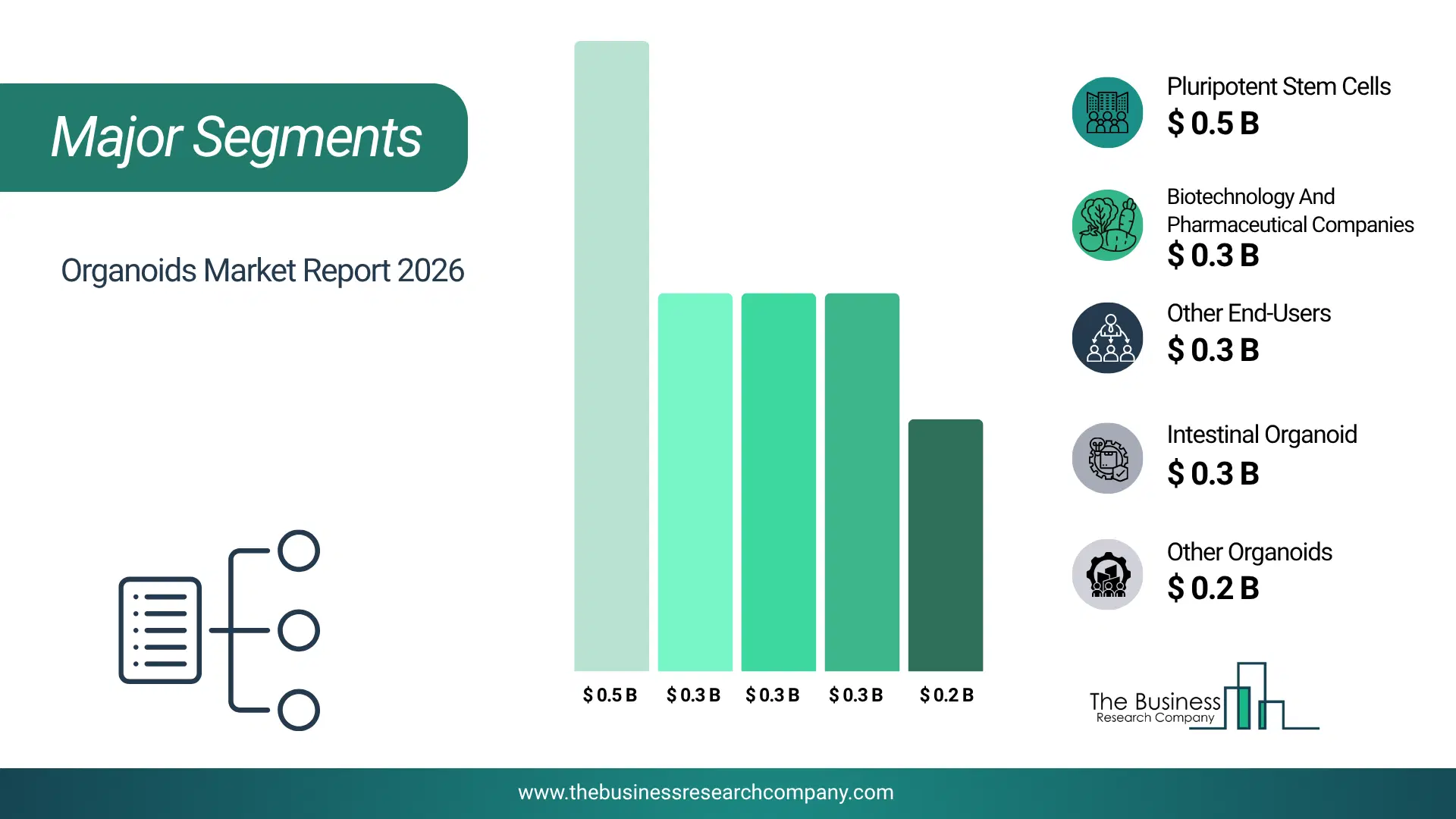 Organoids Market Major Segmentation Breakdown2026 Major Segmentation Breakdown Chart Of The Organoids Market.