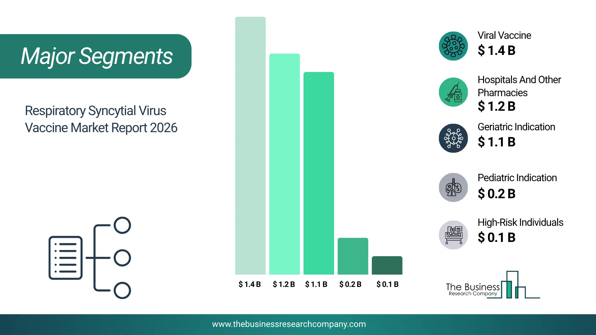 Respiratory Syncytial Virus Vaccine Market Major Segmentation Breakdown2026 Major Segmentation Breakdown Chart Of The Respiratory Syncytial Virus Vaccine Market.