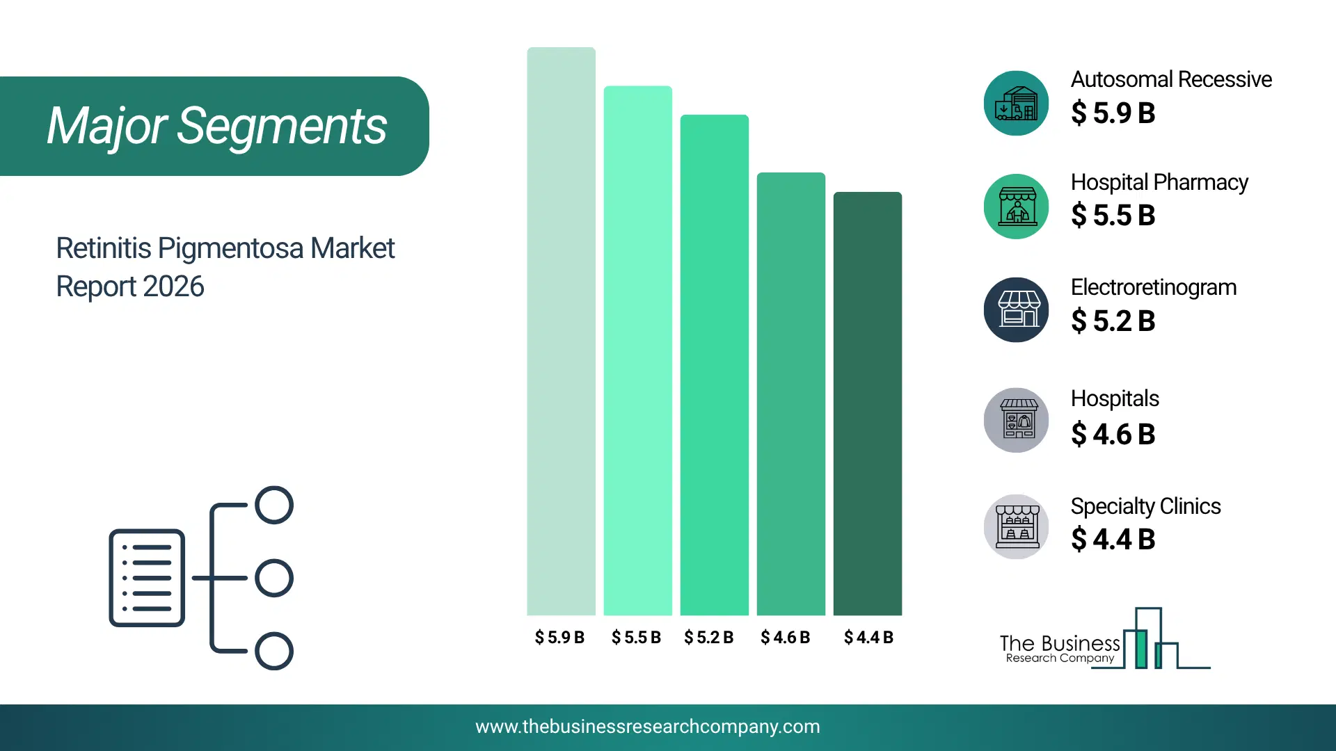 Retinitis Pigmentosa Market Major Segmentation Breakdown2026 Major Segmentation Breakdown Chart Of The Retinitis Pigmentosa Market.