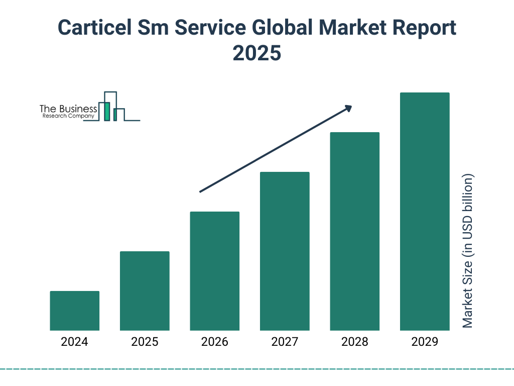 Carticel Sm Service Market Size and growth rate 2025 to 2029: Graph