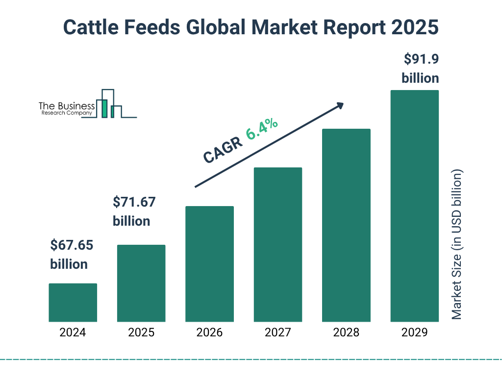 Cattle Feeds Market Size and growth rate 2025 to 2029: Graph