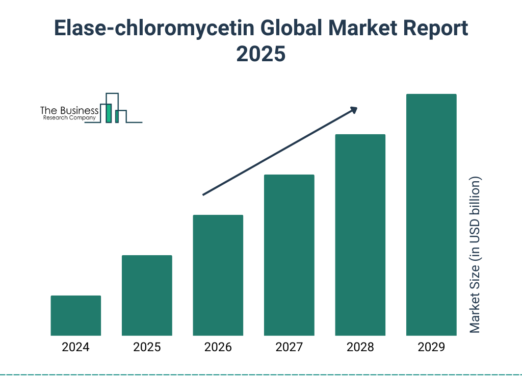 Elase-chloromycetin Market Size and growth rate 2025 to 2029: Graph