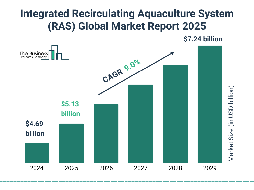 Integrated Recirculating Aquaculture System (RAS) Market Size and growth rate 2025 to 2029: Graph