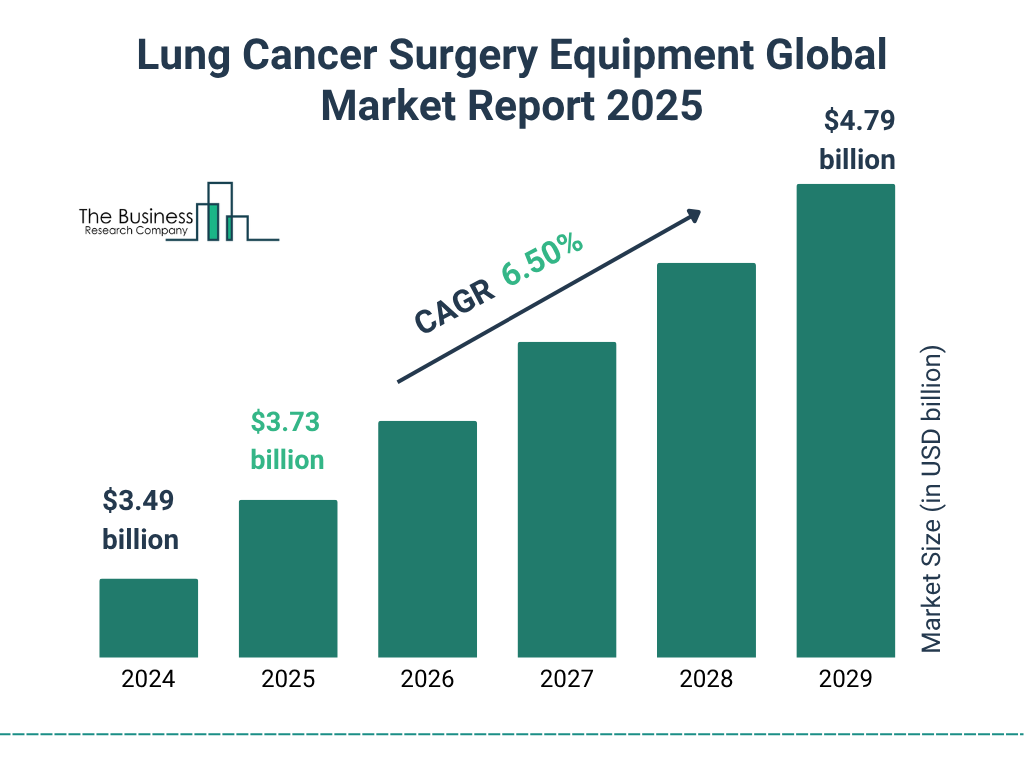 Lung Cancer Surgery Equipment Market Size and growth rate 2025 to 2029: Graph