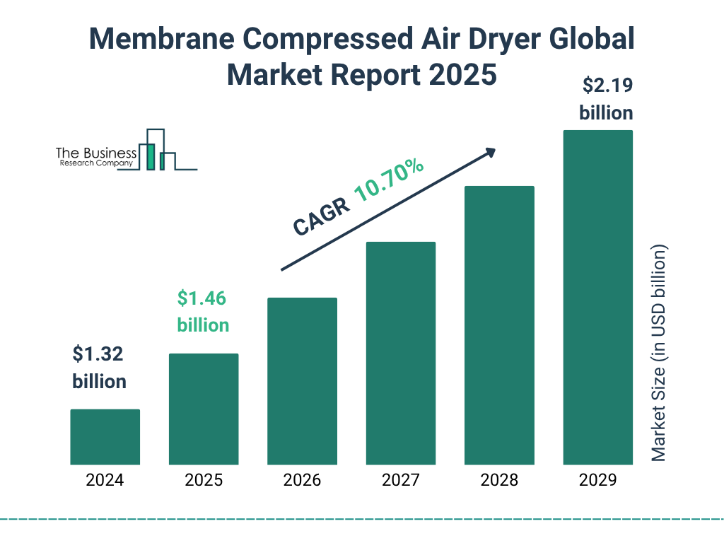 Membrane Compressed Air Dryer Market Size and growth rate 2025 to 2029: Graph