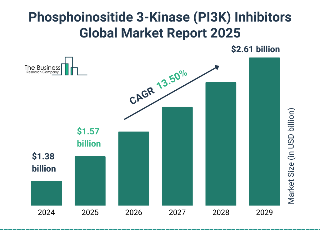 Phosphoinositide 3-Kinase (PI3K) Inhibitors Market Size and growth rate 2025 to 2029: Graph