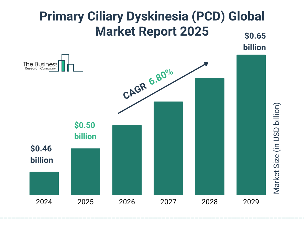 Primary Ciliary Dyskinesia (PCD) Market Size and growth rate 2025 to 2029: Graph