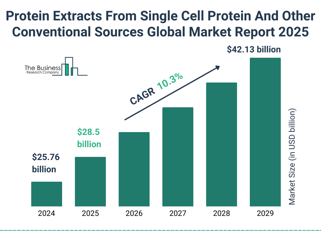Protein Extracts From Single Cell Protein And Other Conventional Sources Market Size and growth rate 2025 to 2029: Graph