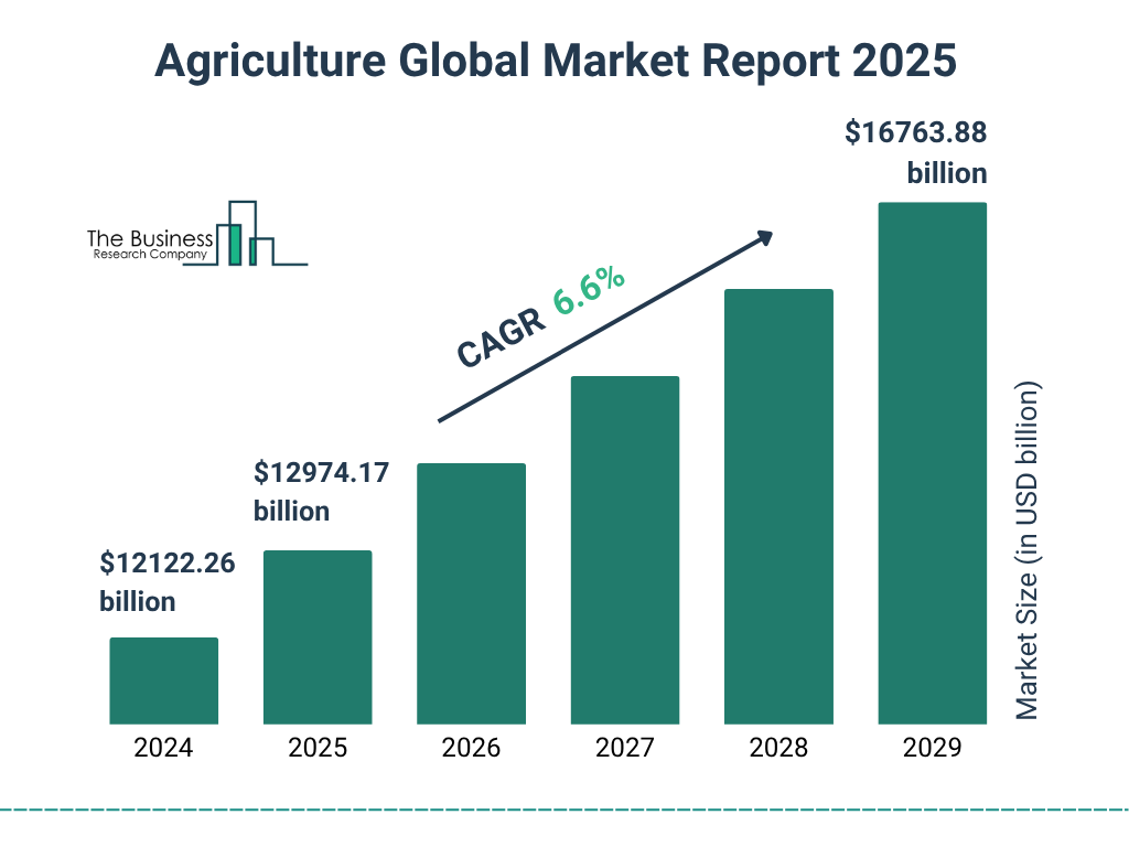 Agriculture Market Size and growth rate 2025 to 2029: Graph