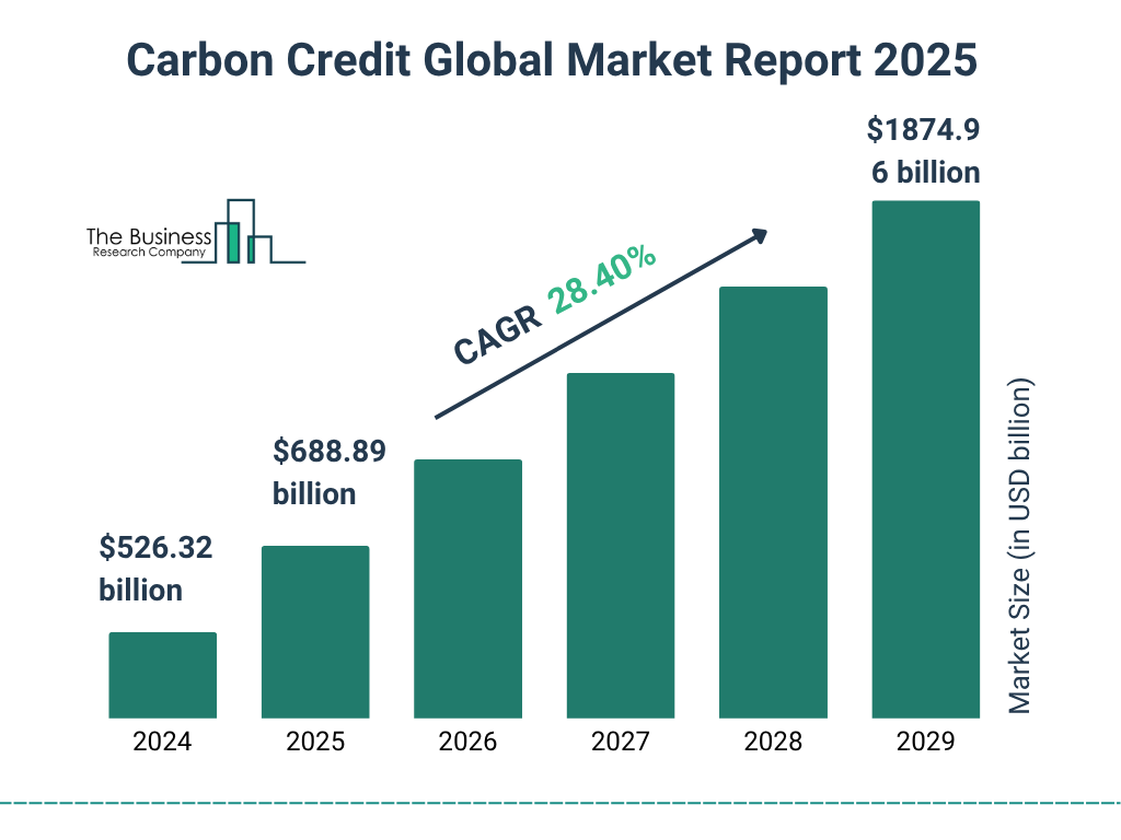 Carbon Credit Market Size and growth rate 2025 to 2029: Graph