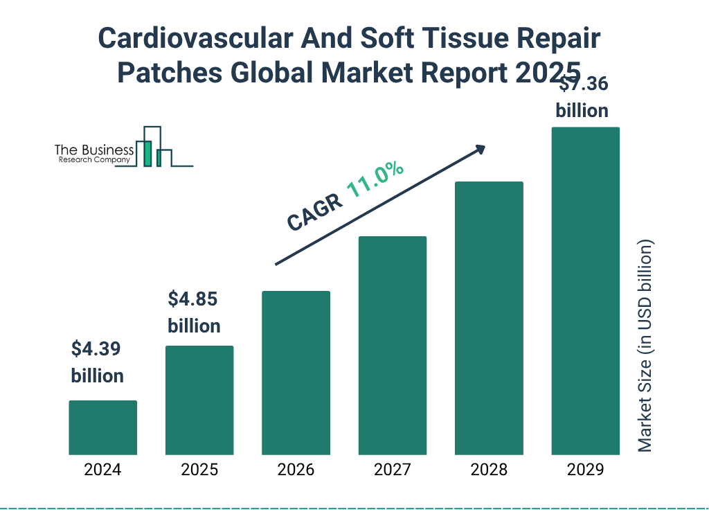 Cardiovascular And Soft Tissue Repair Patches Market Size and growth rate 2025 to 2029: Graph