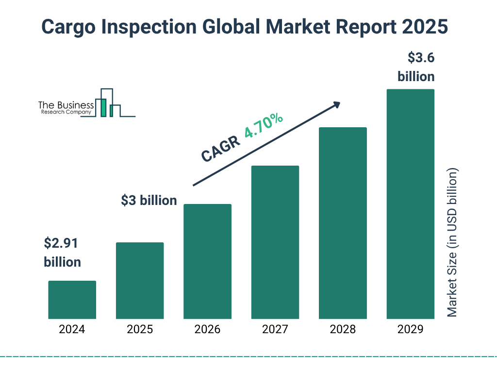 Cargo Inspection Market Size and growth rate 2025 to 2029: Graph