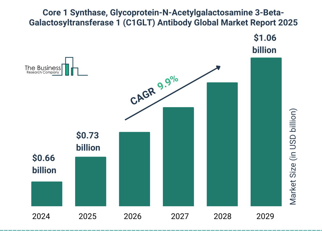 Core 1 Synthase, Glycoprotein_N_Acetylgalactosamine 3_Beta_Galactosyltransferase 1 (C1GLT) Antibody Market Size and growth rate 2025 to 2029: Graph