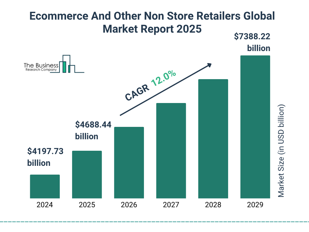Ecommerce And Other Non Store Retailers Market Size and growth rate 2025 to 2029: Graph