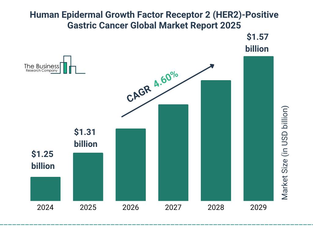 Human Epidermal Growth Factor Receptor 2 (HER2)-Positive Gastric Cancer Market Size and growth rate 2025 to 2029: Graph
