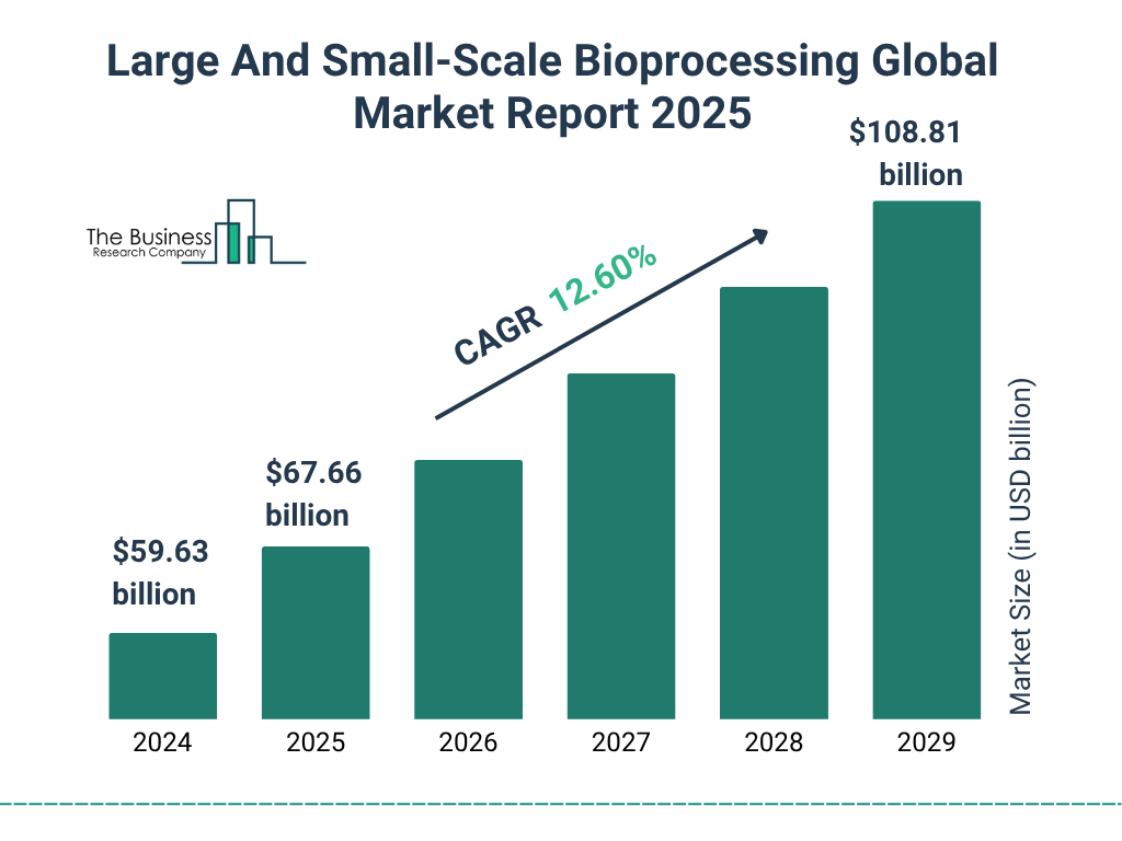 Large And Small-Scale Bioprocessing Market Size and growth rate 2025 to 2029: Graph