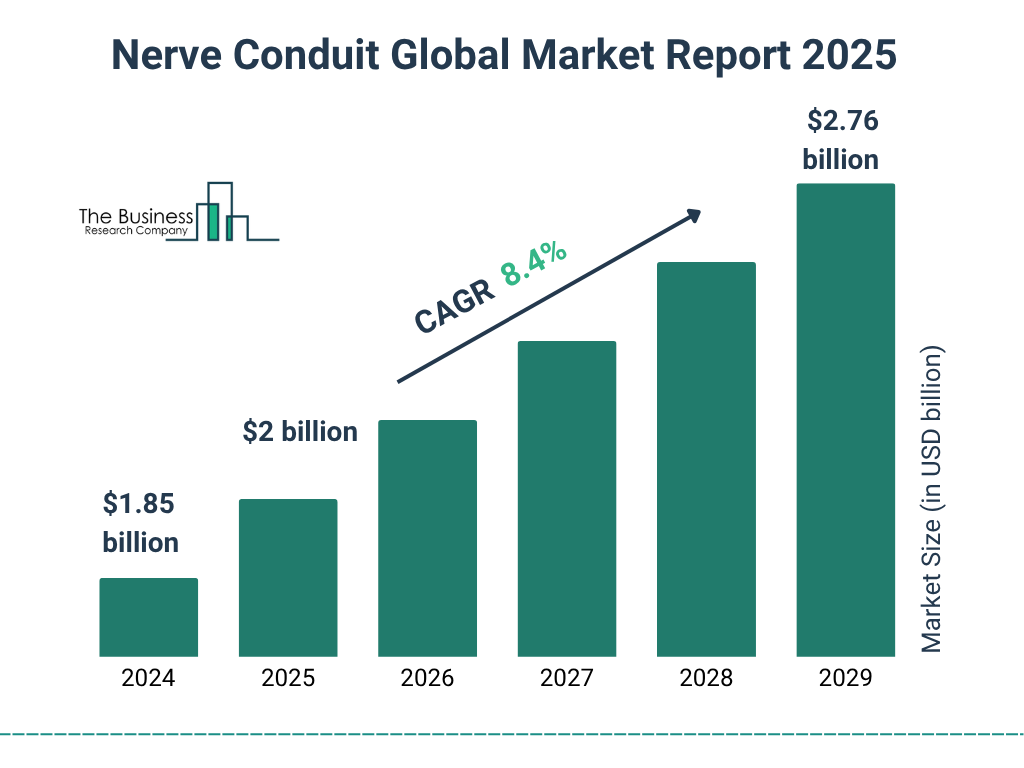 Nerve Conduit Market Size and growth rate 2025 to 2029: Graph