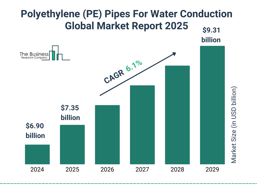 Polyethylene (PE) Pipes For Water Conduction Market Size and growth rate 2025 to 2029: Graph