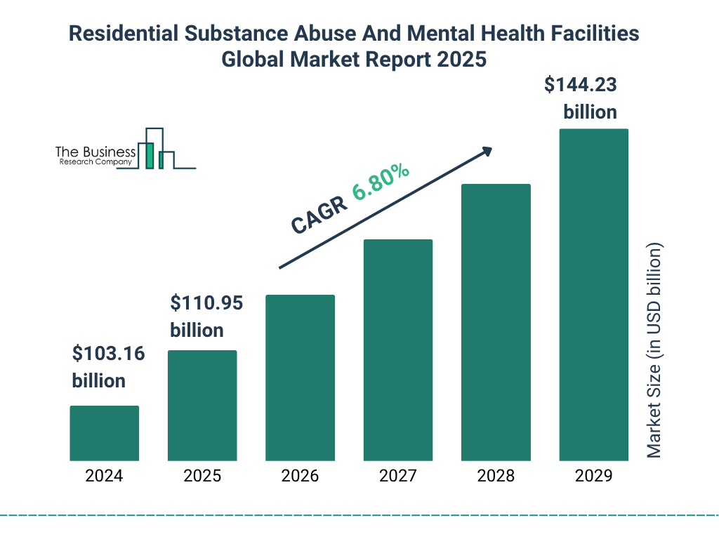 Residential Substance Abuse And Mental Health Facilities Market Size and growth rate 2025 to 2029: Graph