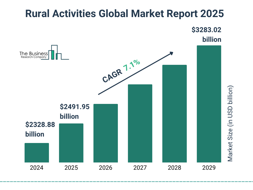 Rural Activities Market Size and growth rate 2025 to 2029: Graph