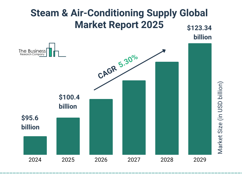 Steam & Air-Conditioning Supply Market Size and growth rate 2025 to 2029: Graph