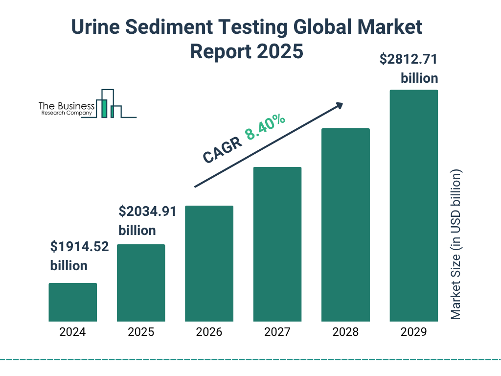 Urine Sediment Testing Global Market Report 2025 Market Size and growth rate 2025 to 2029: Graph