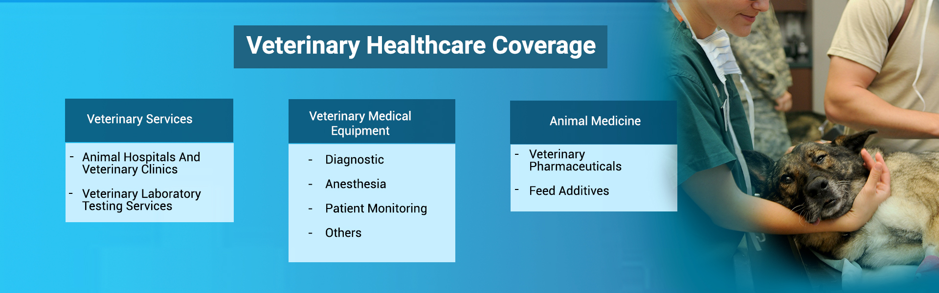 Veterinary Healthcare Services Market Research Coverage