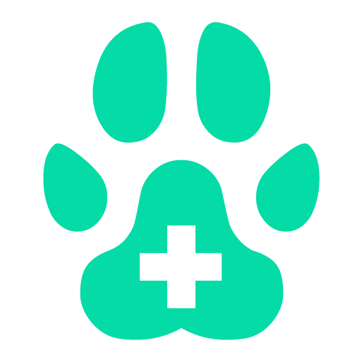 Veterinary Healthcare Icon