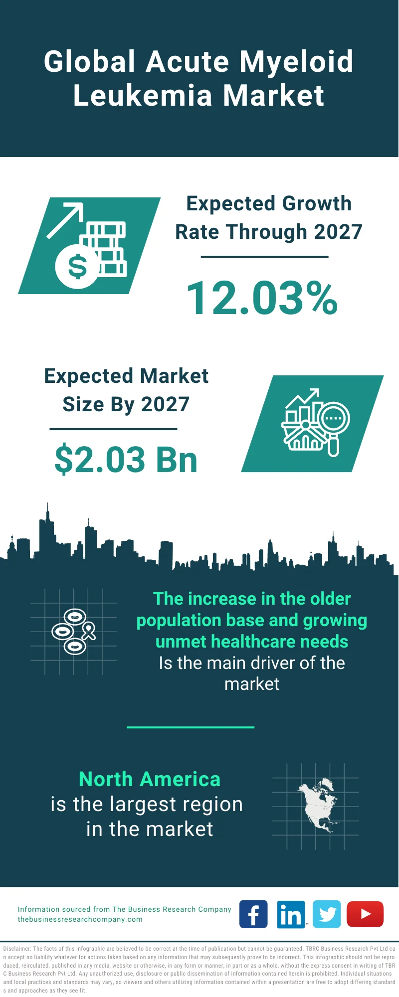 Acute Myeloid Leukemia Market 