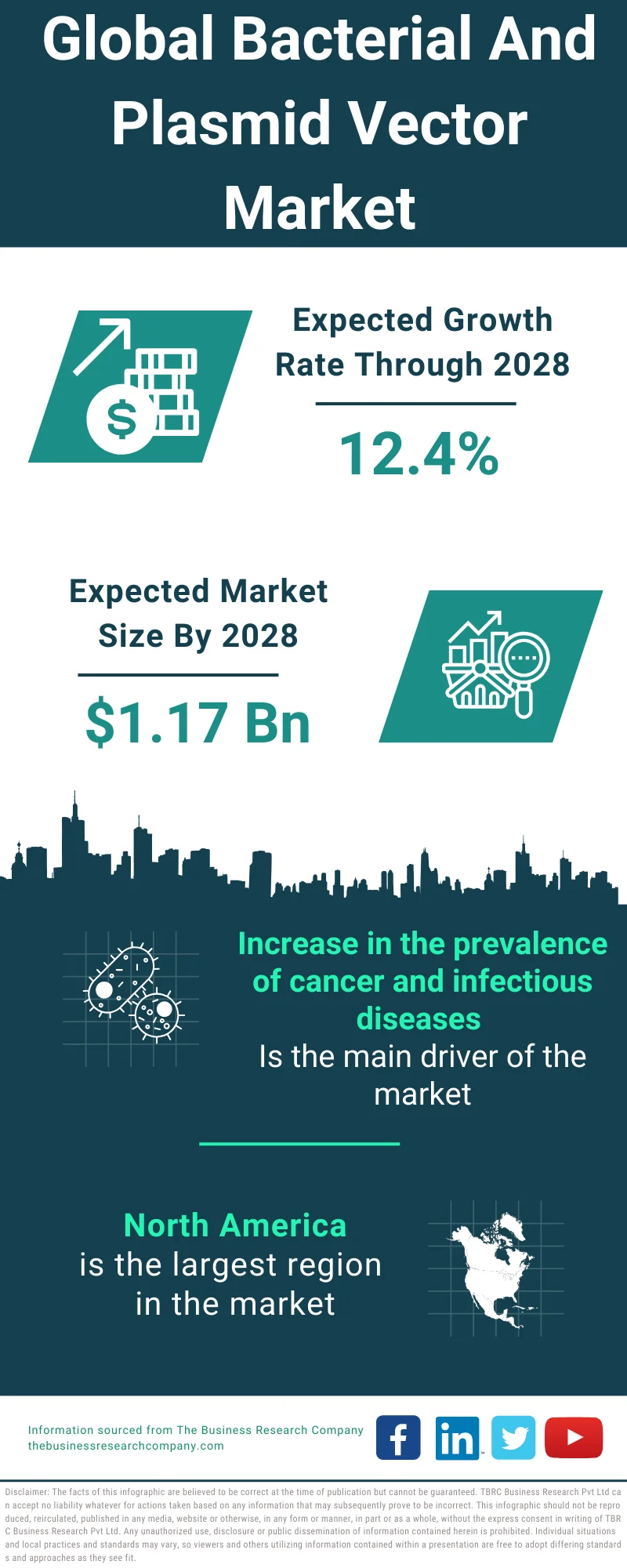 Bacterial And Plasmid Vectors Market