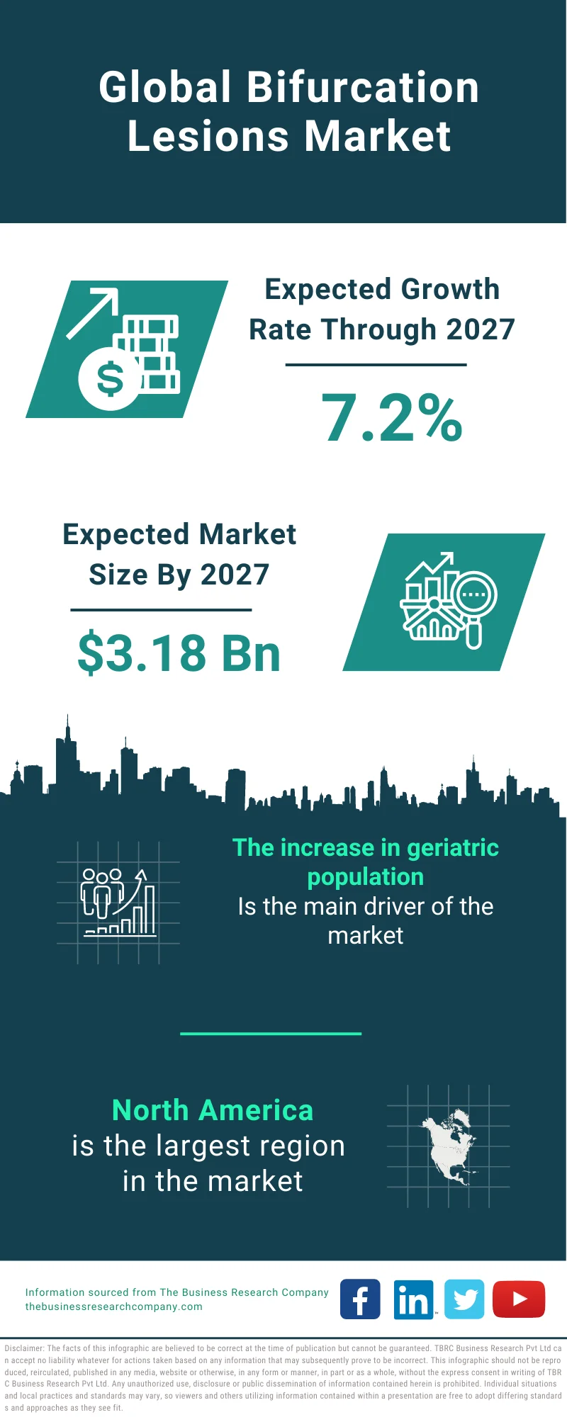 Bifurcation Lesions Market