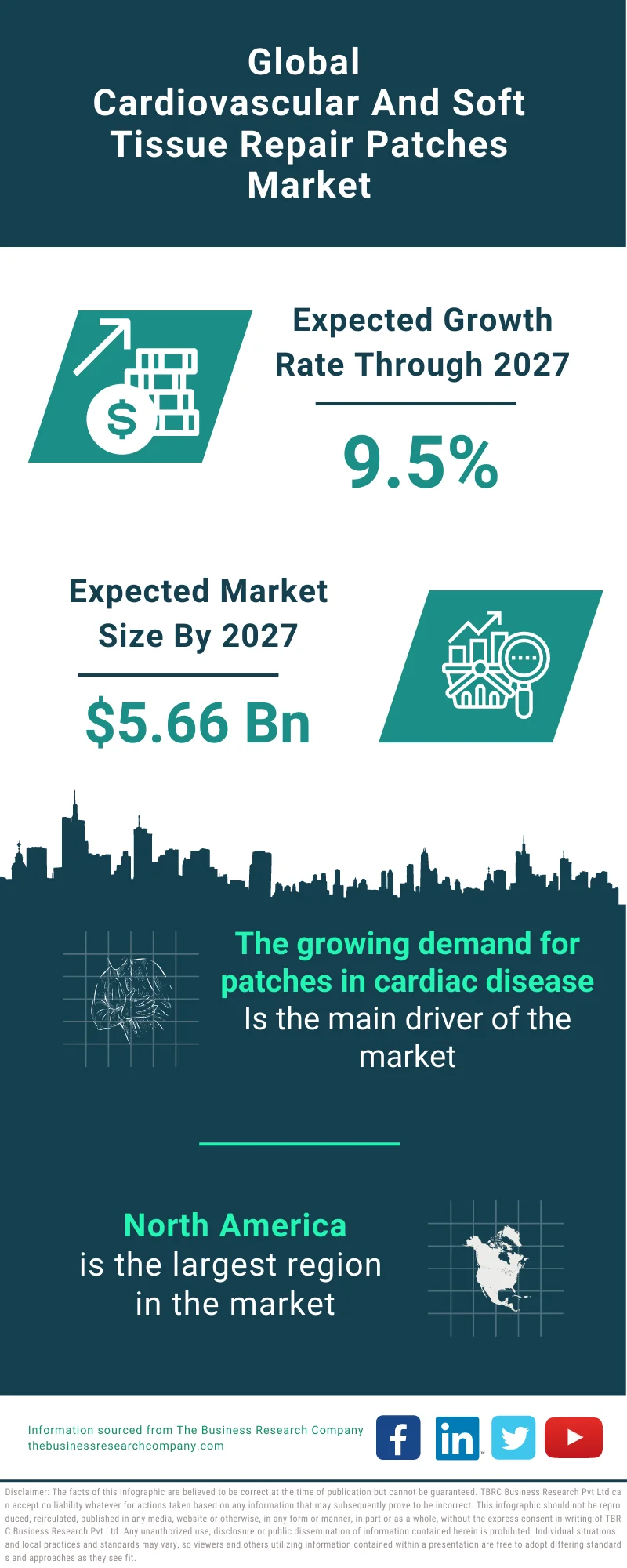 Cardiovascular And Soft Tissue Repair Patches Market