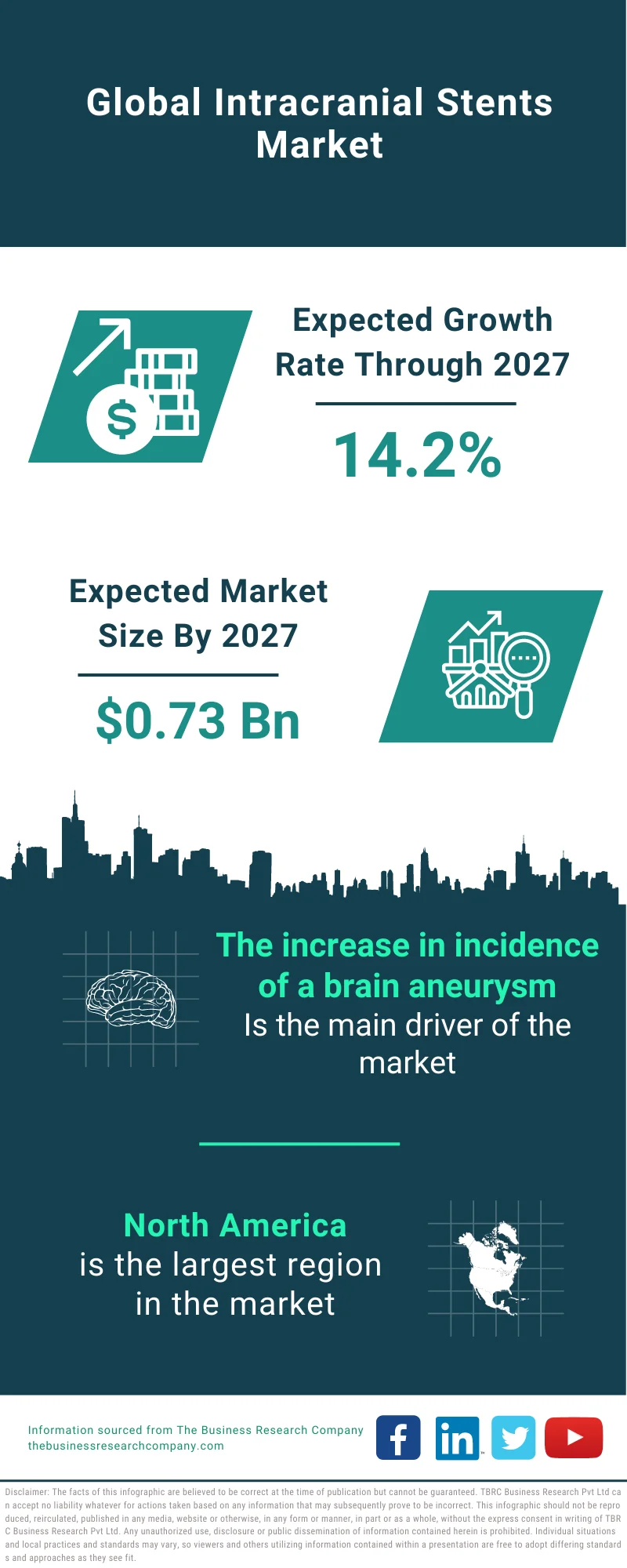 Intracranial Stents Market